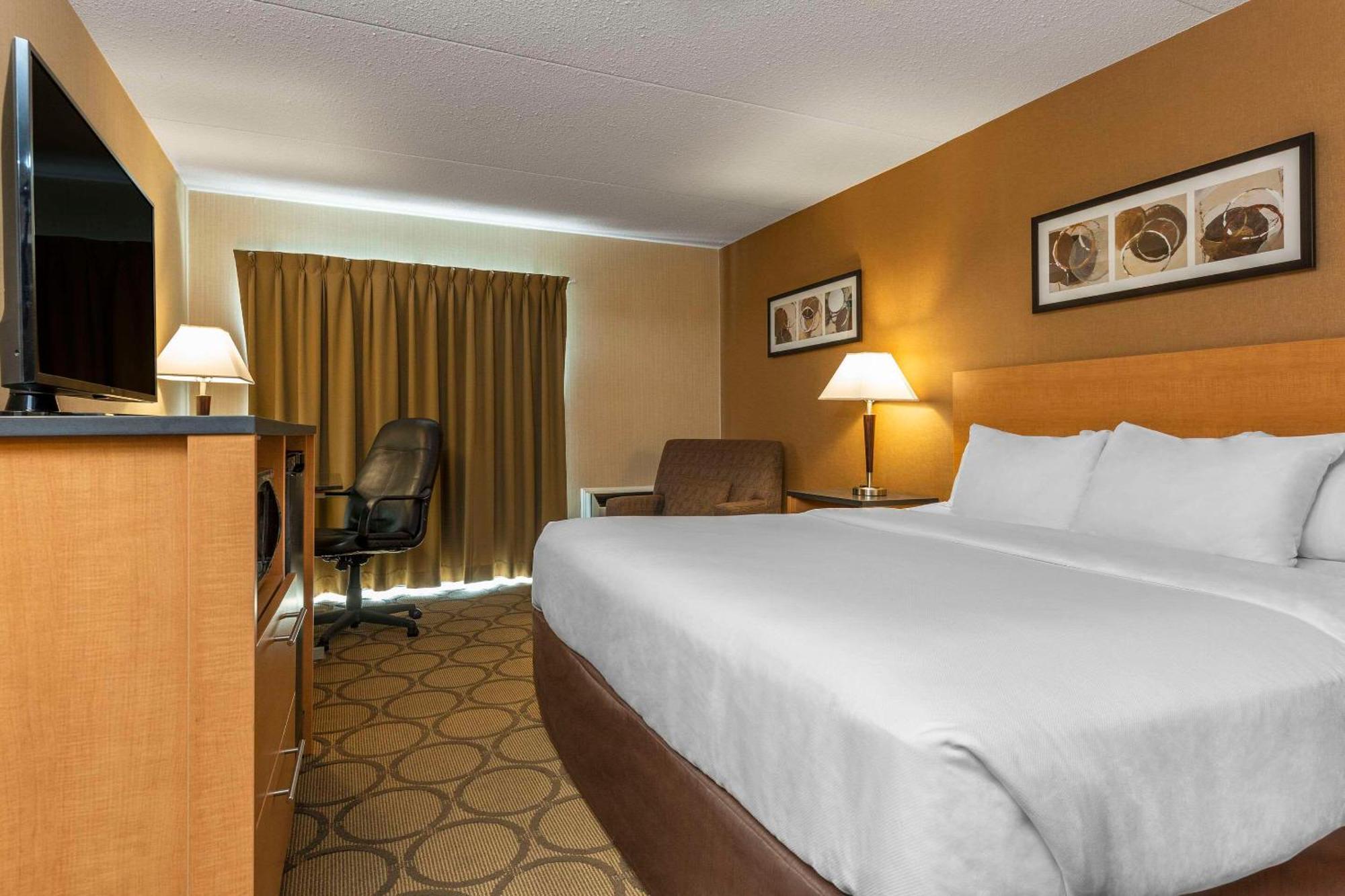 Comfort Inn New Glasgow Exterior foto