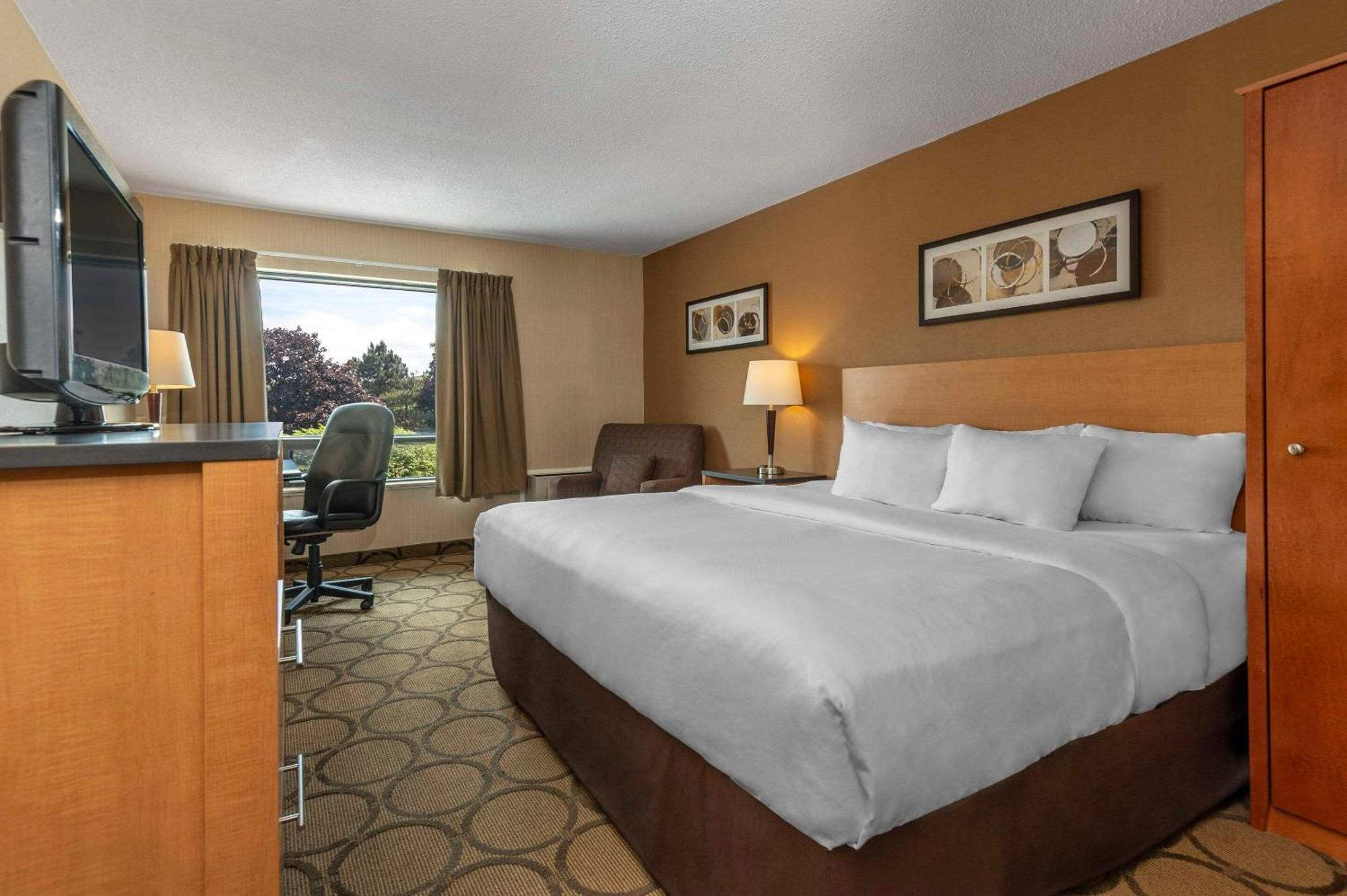 Comfort Inn New Glasgow Exterior foto